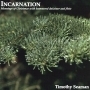 Incarnation Holiday Album Cover